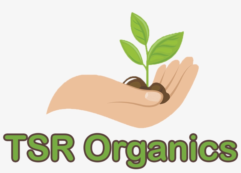 Logo - Illustration, transparent png download