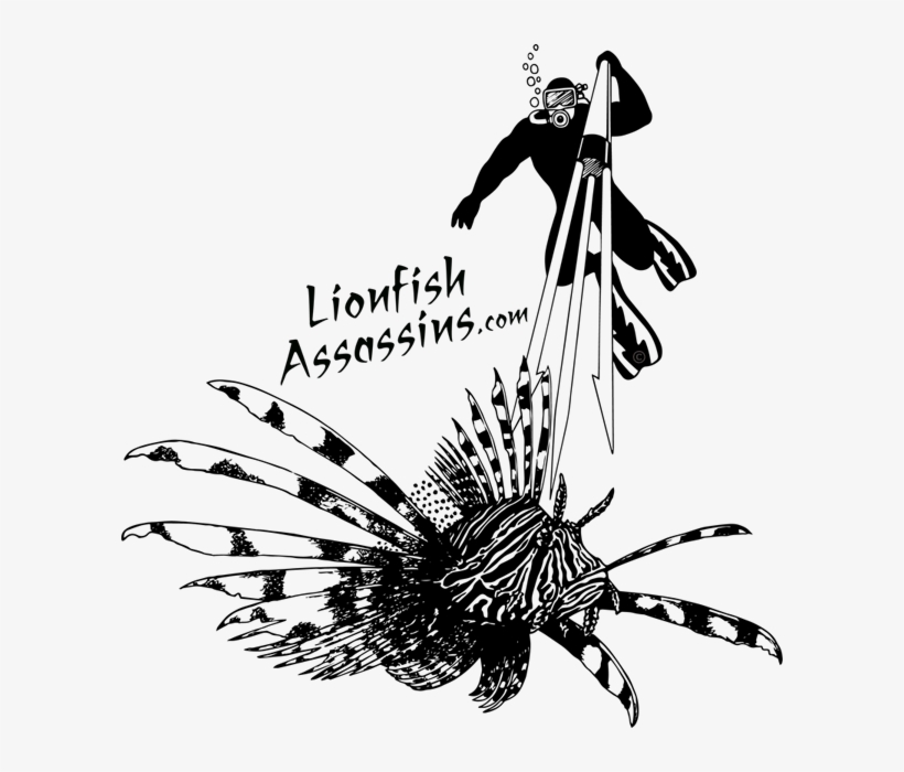 Website Coming Soon - Illustration, transparent png download