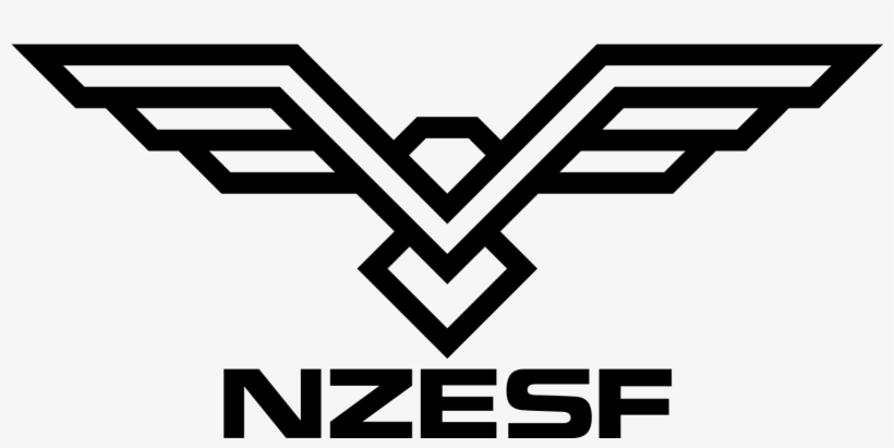 Brands Endorsed By The Nzesf Are Deemed To Be Supportive - 1.4 Tsi Twincharger Air Intakes, transparent png download