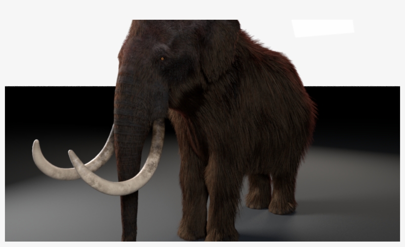 Fur Test 02 - Indian Elephant, transparent png download