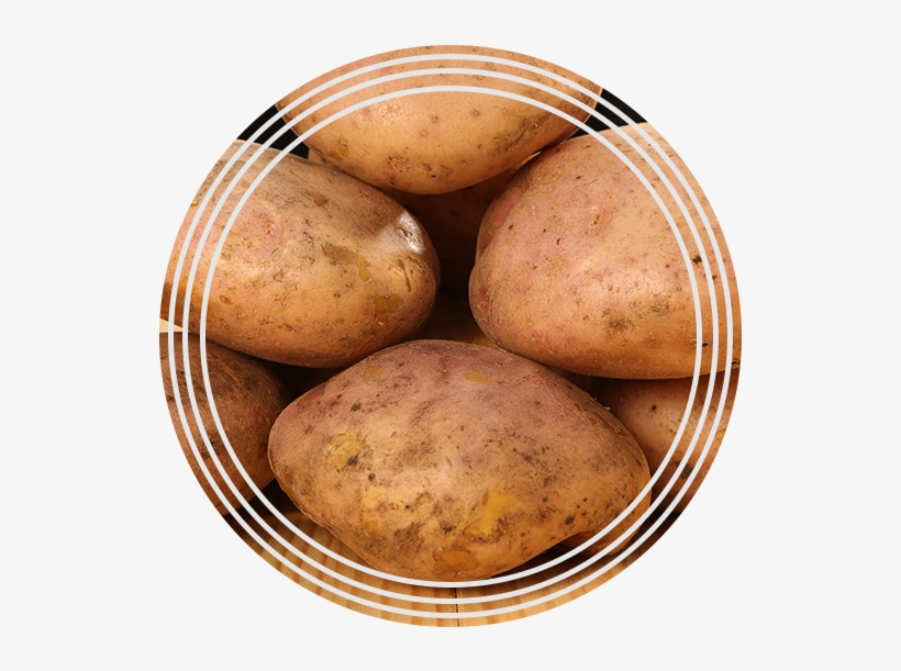 Papa R12 - Yukon Gold Potato, transparent png download