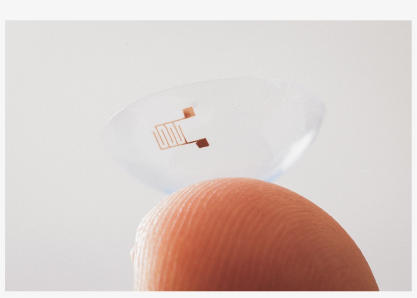 Wood, transparent png download