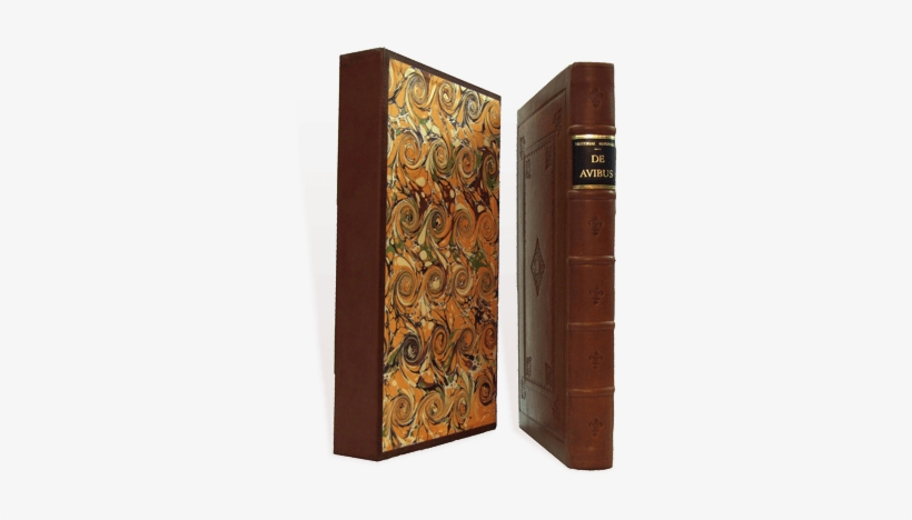 Regla De Nuestra Señora De La Creaçón - Cupboard, transparent png download