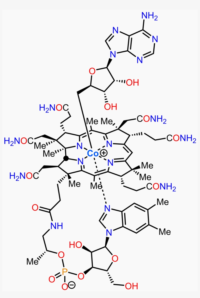Diagram, transparent png download