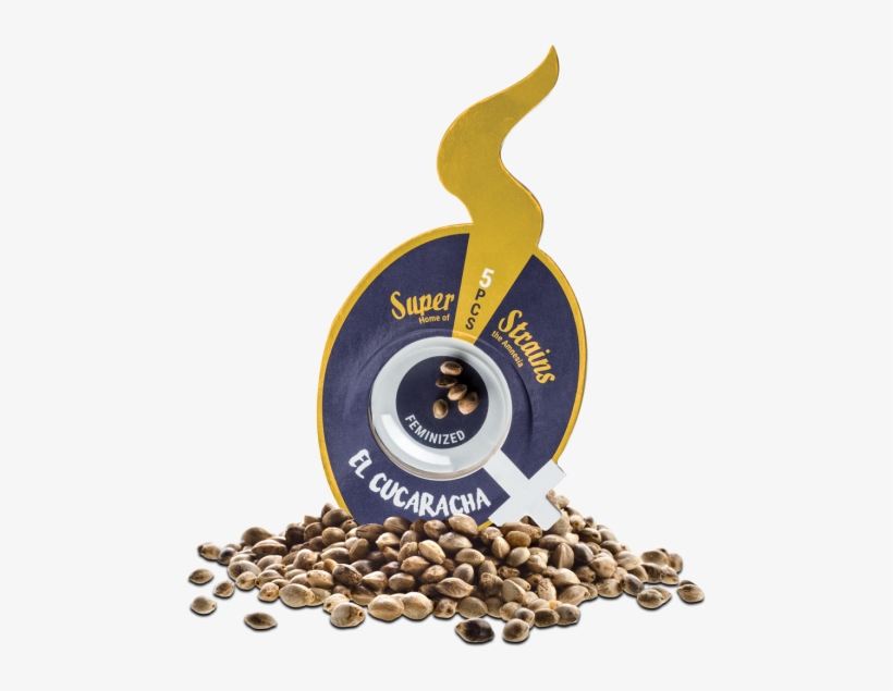 Strain Lineage / Genealogy - Semi Di Canapa Nei Mangimi Per Uccelli, transparent png download