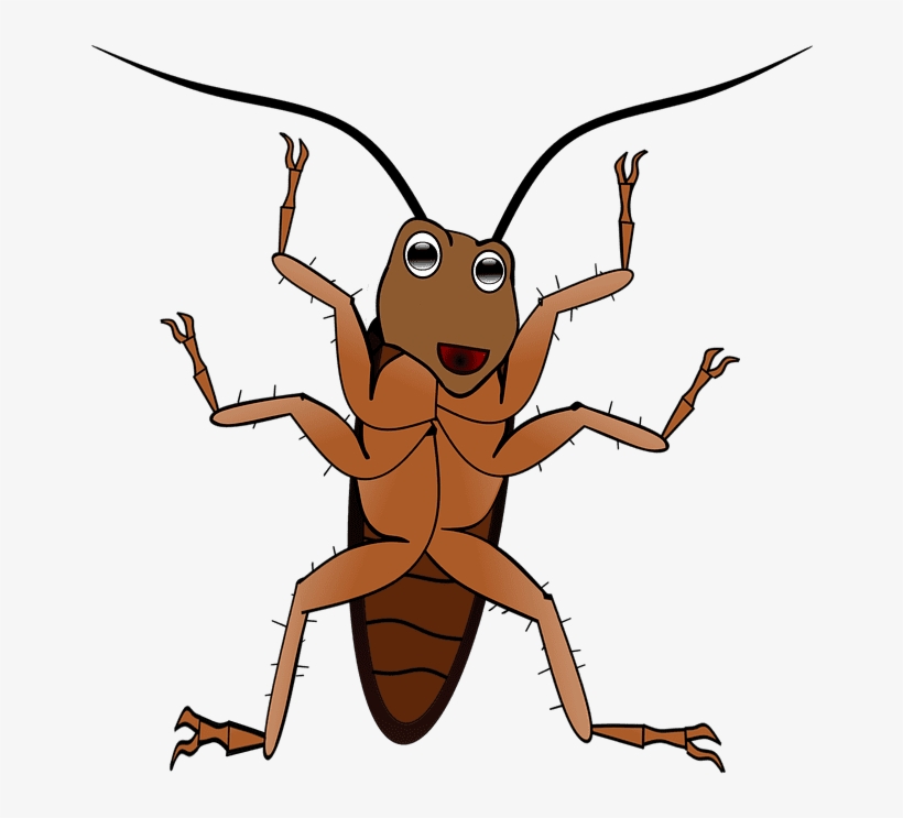 El Caso De La 'cucaracha Gigante' Que Vigilaba A Una - แมลงสาบ การ์ตูน Png, transparent png download