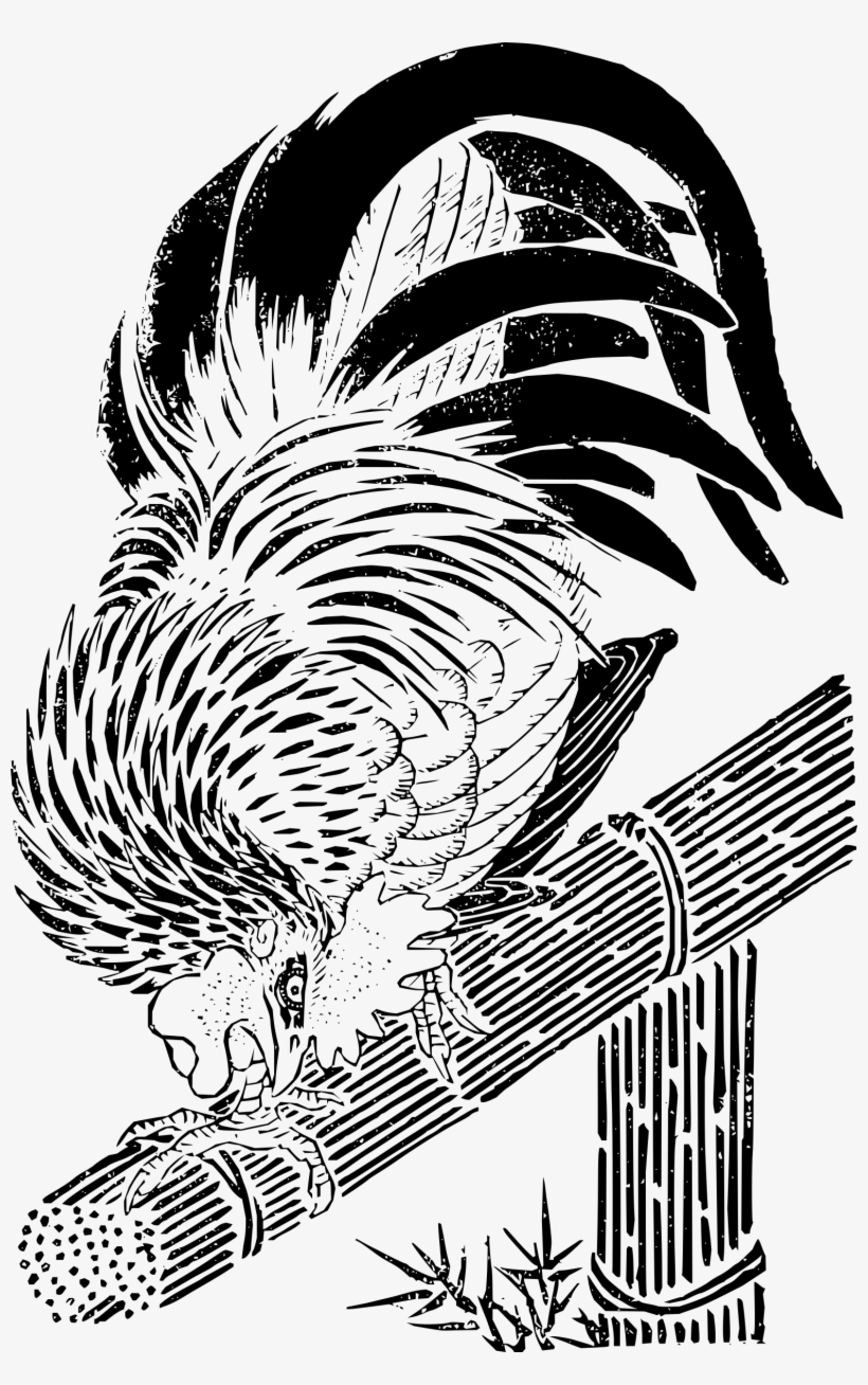 Png, transparent png download