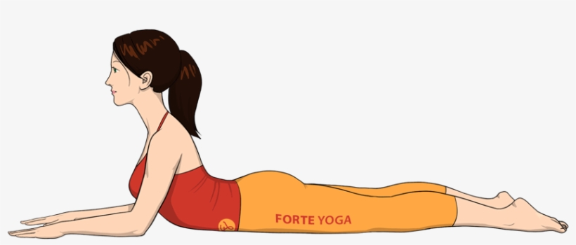 Sphinx Yoga Pose Forte Yoga - Sphinx Yoga, transparent png download