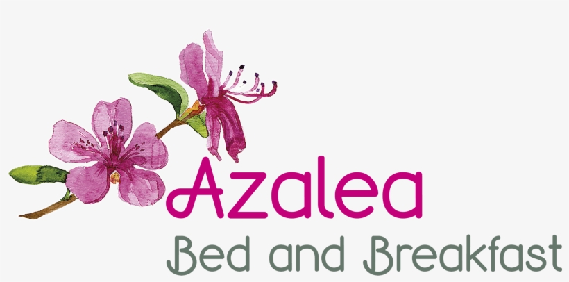 Azalea Bed And Breakfast - Melastome Family, transparent png download
