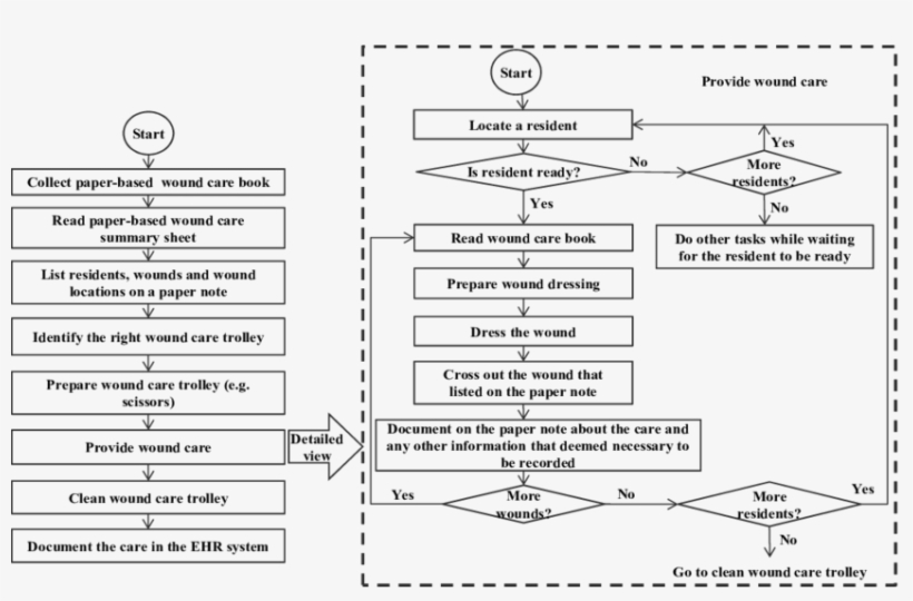 Wound Care Processes - Diagram, transparent png download