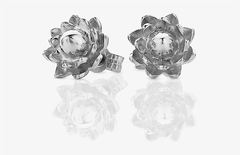 Protea Stud Earrings - Garden Roses, transparent png download