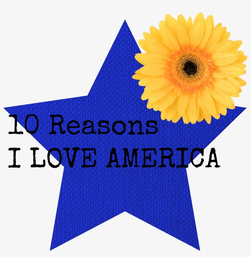 10 Reasons - American Staffordshire Terrier, transparent png download