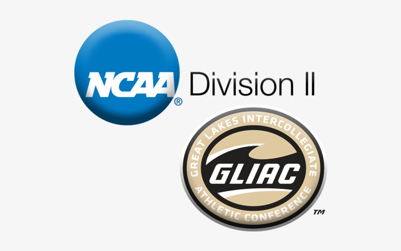 Purdue Northwest Approved For Final Year Of Ncaa Ii - Ncaa Football, transparent png download