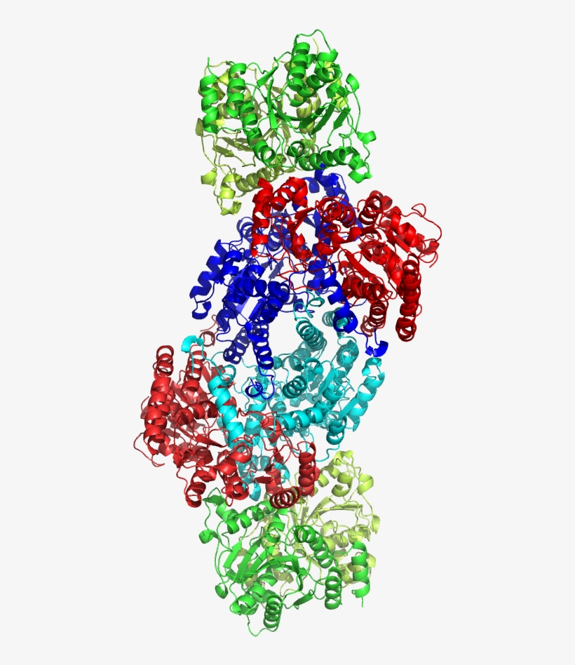 File - Nitrogenase - Nitrogenase Png, transparent png download