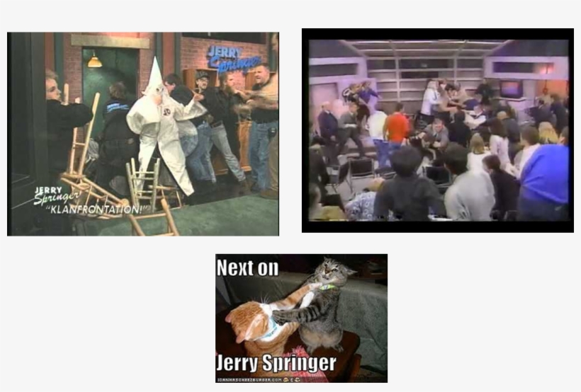 On Criminals, Terrorists, And Crazy Men Part2 - Cats Fighting, transparent png download