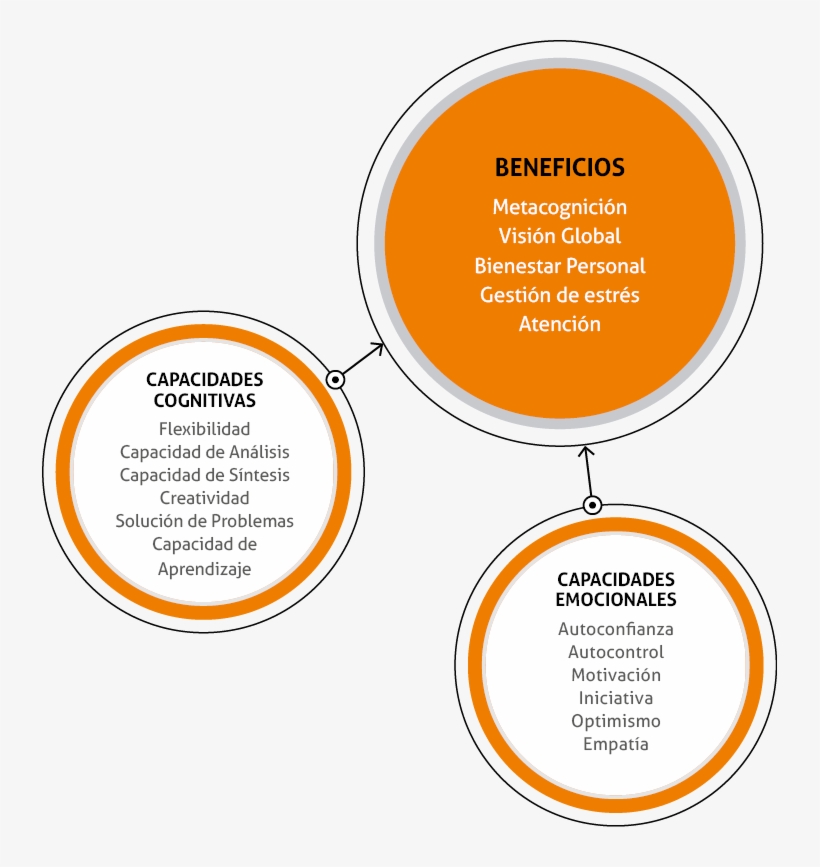 Beneficios - Diagram, transparent png download