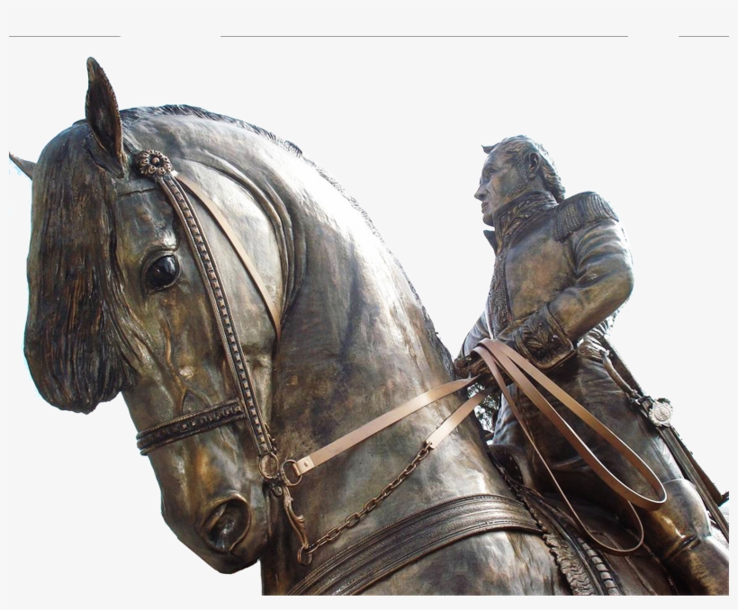 Paloma De La Paz - Stallion, transparent png download