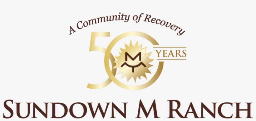 A Successful History Of Treating Alcohol & Drug Addictions - Graphic Design, transparent png download