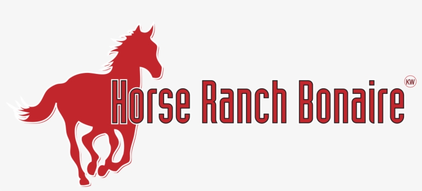 Araber Pferd, transparent png download