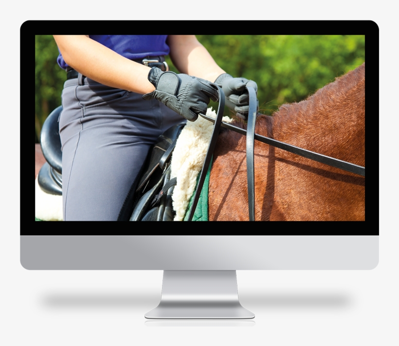 Desarrollo Y Liderazgo Personal - Dressage Rein Hold, transparent png download