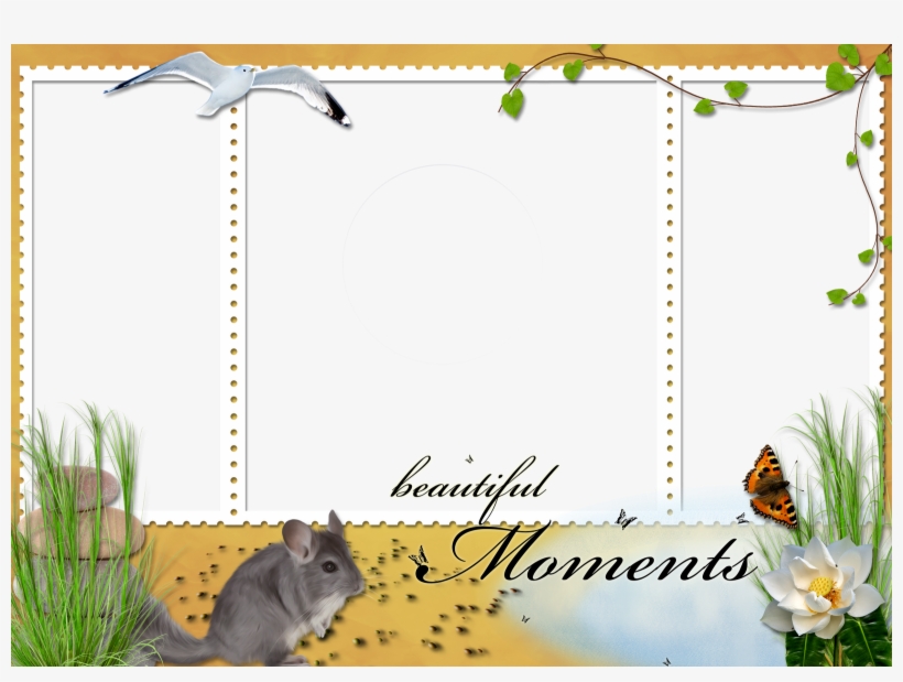 Marcadores Flores Png Molduras E Frames Png Png Fotos - Insect, transparent png download