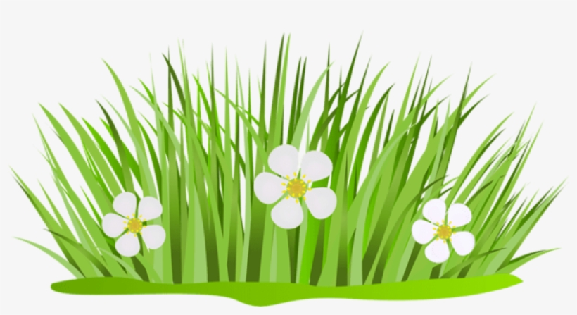 Free Png Download Grass Patch With Flowers Png Images - Grass With Flower Clipart, transparent png download
