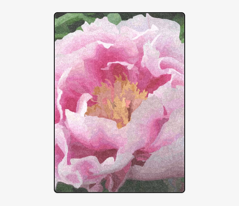 Peony, transparent png download