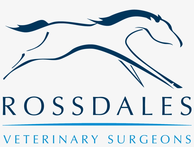 Rossdales Held Their First 'weight Wise' Clinic On - Graphic Design, transparent png download