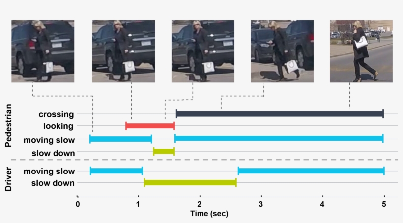 Timeline Of Events As The Pedestrian Is Crossing The - Car, transparent png download