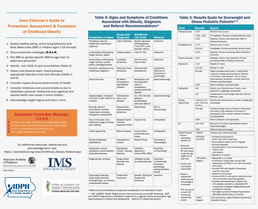 Childhood Obesity Toolkit - Iowa Department Of Public Health, transparent png download