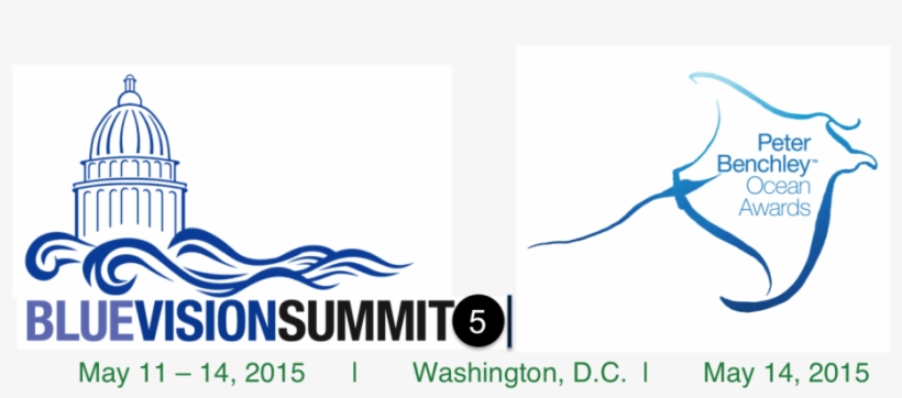 Blue Vision Summit Logo - Graphic Design, transparent png download
