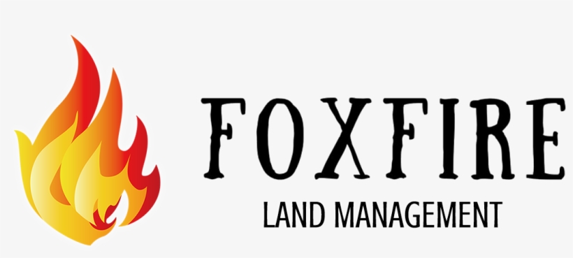 Foxfire Land Management Wake Forest Franklinton Youngsville - Judy And Mary 15th Anniversary, transparent png download