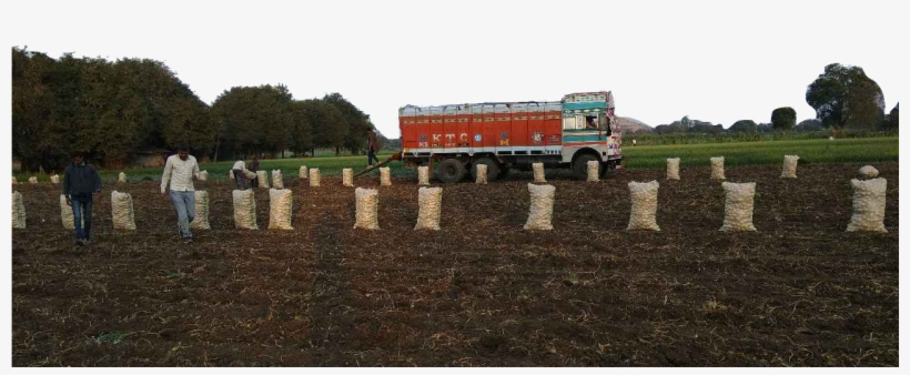 2015 - Farm, transparent png download