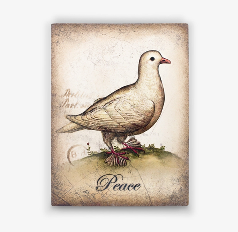 Forgot Password - Sid Dickens Peace, transparent png download