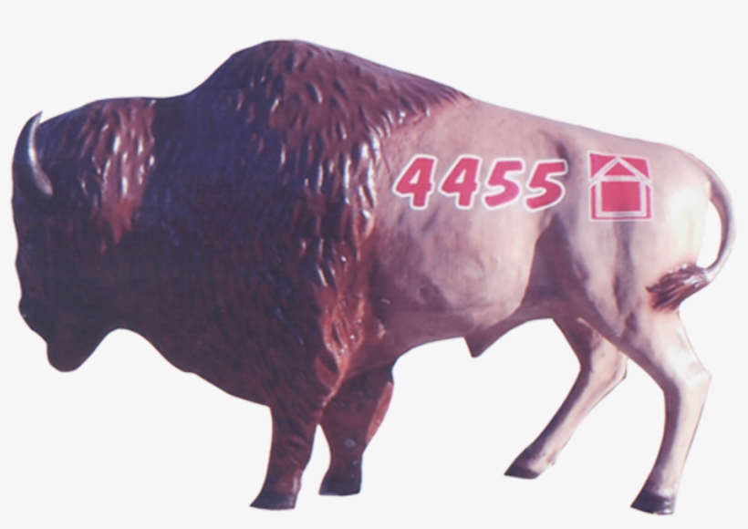 Buffalo Overhead Door Buffalo - Bull, transparent png download