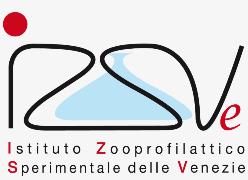 Izsve, transparent png download