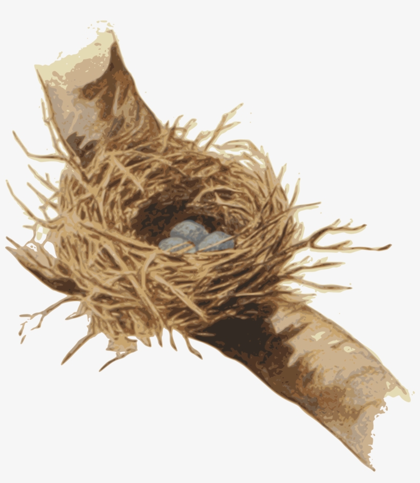 Big Image - Root, transparent png download