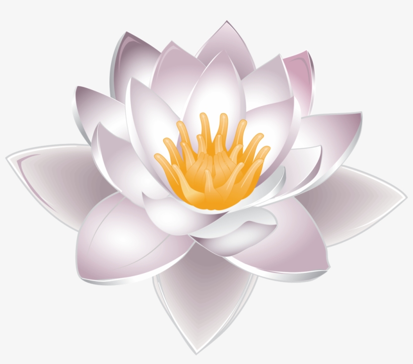 Фото, Автор Soloveika На Яндекс - Sacred Lotus, transparent png download