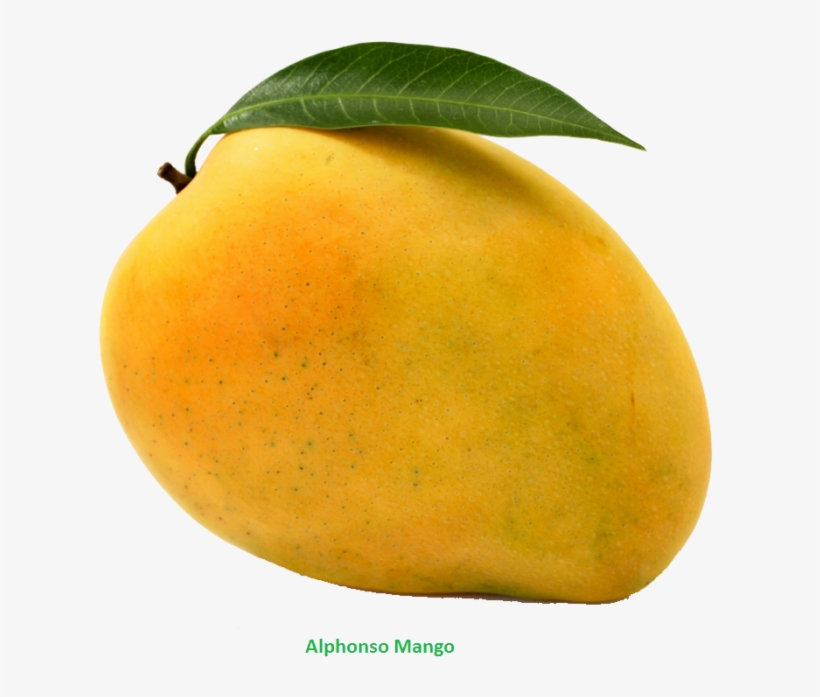 Mango Png, transparent png download