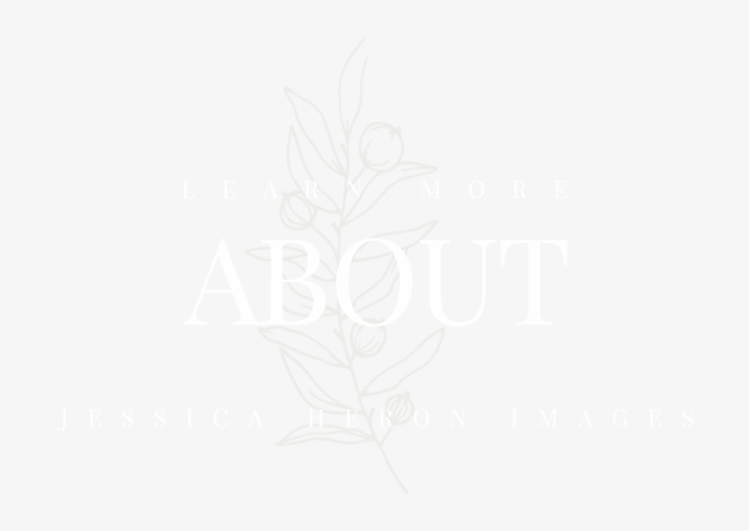 About Tab - Sketch, transparent png download
