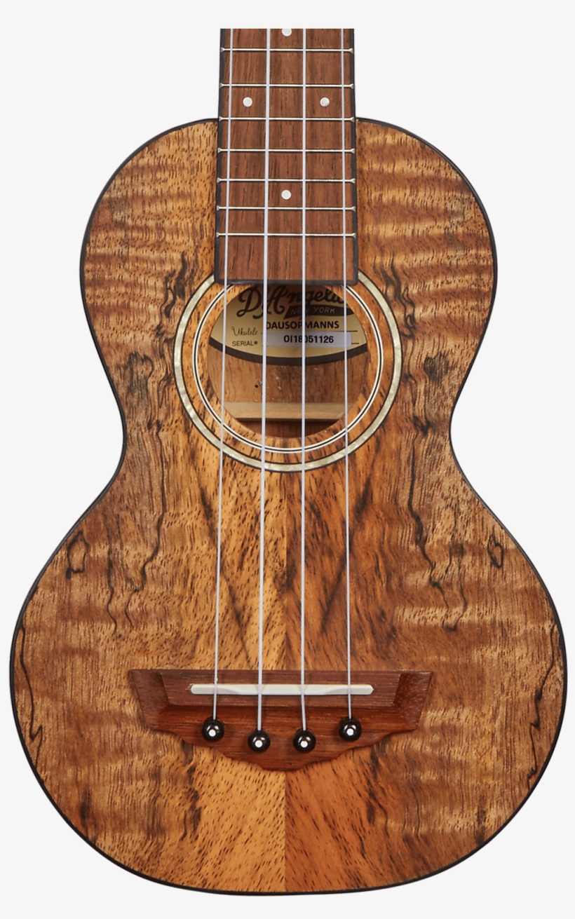 Qqnn3cnzsnqg24uqdqd9 - D Angelico Ukulele, transparent png download