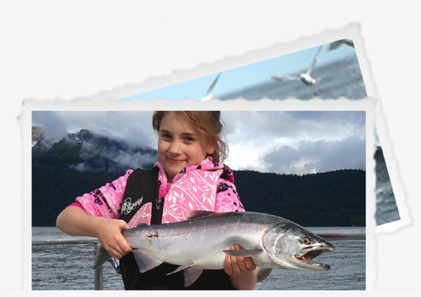 Photos In Our Album Showcase Our Anglers Experiencing - Pull Fish Out Of Water, transparent png download