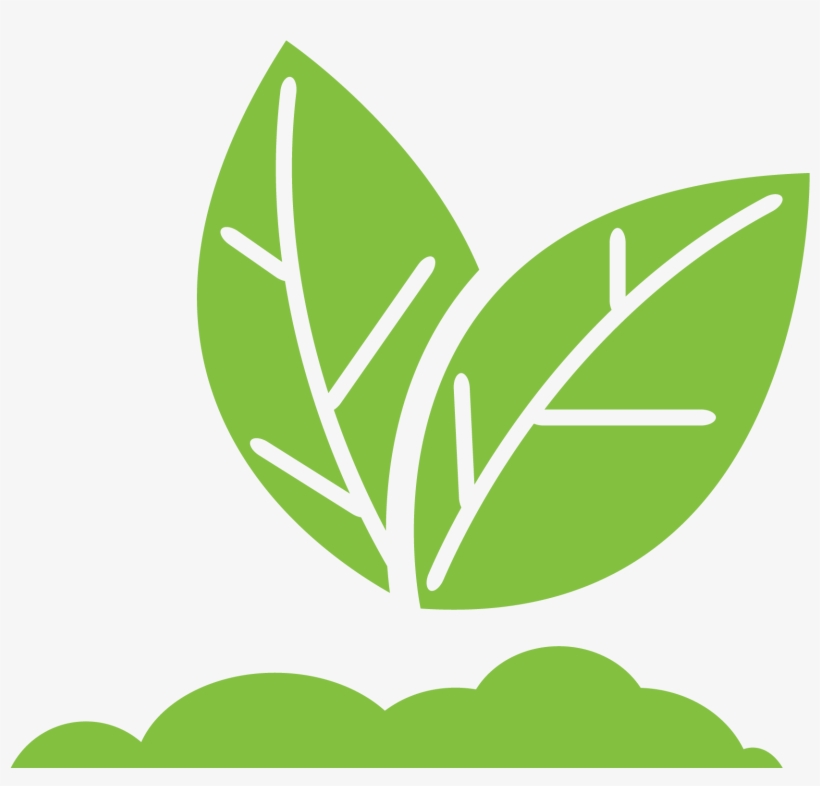 After You Report Your Loss - Crop Insurance Png, transparent png download