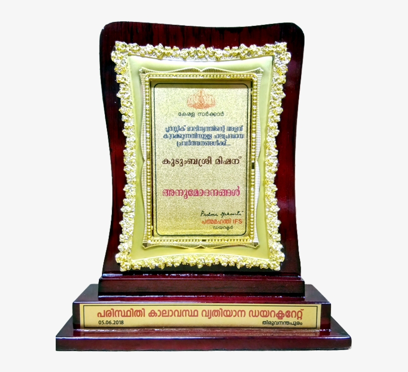 Multiple Activities Undertaken To Reduce Plastics - Picture Frame, transparent png download
