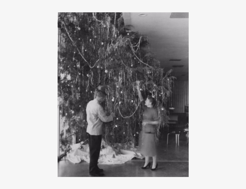 Decorating The Christmas Tree At The College Union, - Photograph, transparent png download