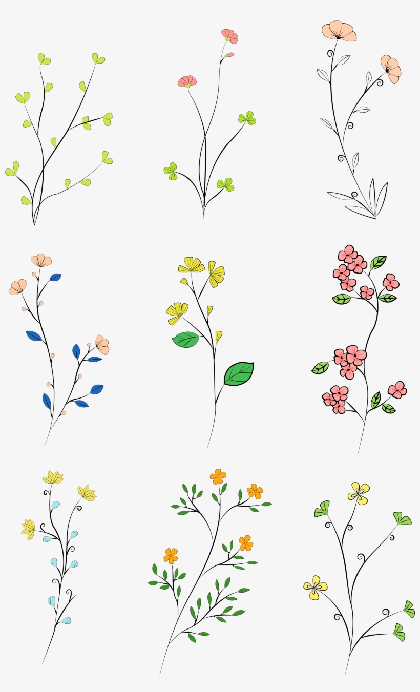 Hand Drawn Leaves Colored Plants Png And Vector Image, transparent png download