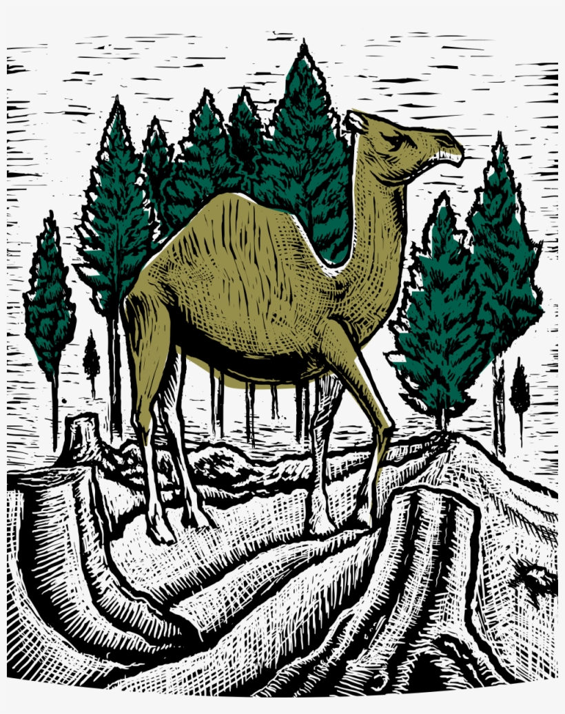 Menu - Illustration, transparent png download