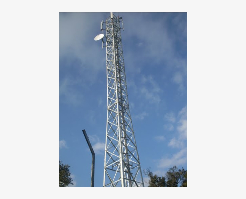 Ncell Tower-779x584 - Tree, transparent png download