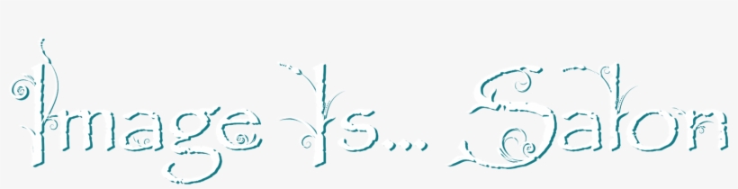 Image Is Hair Salon Logo - Wimax In 50 Pages [book], transparent png download