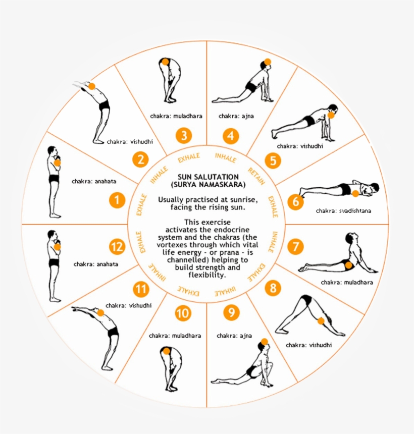 Rose Gold 6 Prong Moissanite Engagement Ring Oval Shape, transparent png download